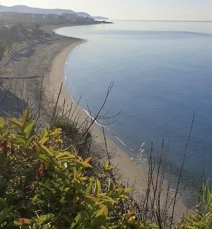 El Olivar De Punta Lara *